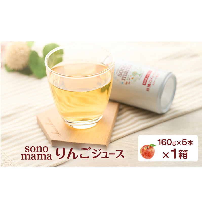 りんごジュース「sonomama」（160g×5本）×1箱 りんご リンゴ ジュース リンゴジュース 飲料
