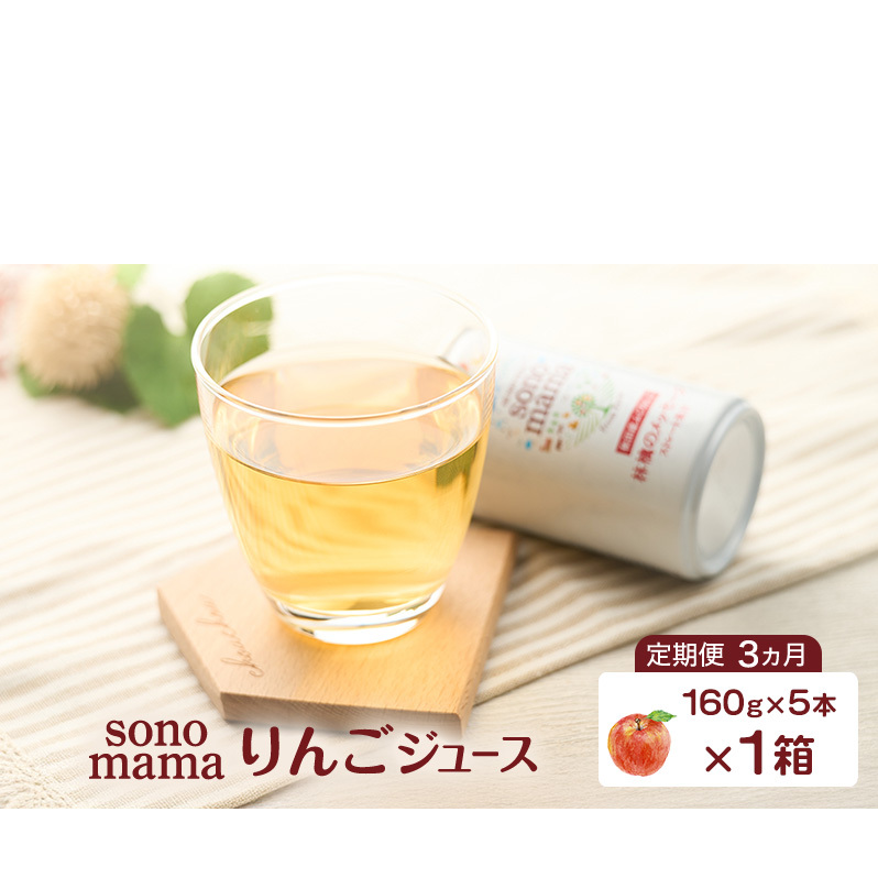 《 定期便 3ヵ月 》 りんごジュース「sonomama」（160g×5本）×1箱 りんご リンゴ ジュース リンゴジュース 飲料