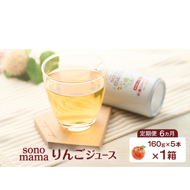 《 定期便 6ヵ月 》 りんごジュース「sonomama」（160g×5本）×1箱 りんご リンゴ ジュース リンゴジュース 飲料
