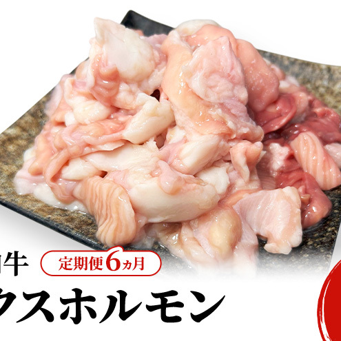《 定期便 6ヵ月 》 秋田県 羽後町産 羽後和牛 ミックスホルモン 300g 【 焼肉 ホルモン BBQ バーベキュー キャンプ 】