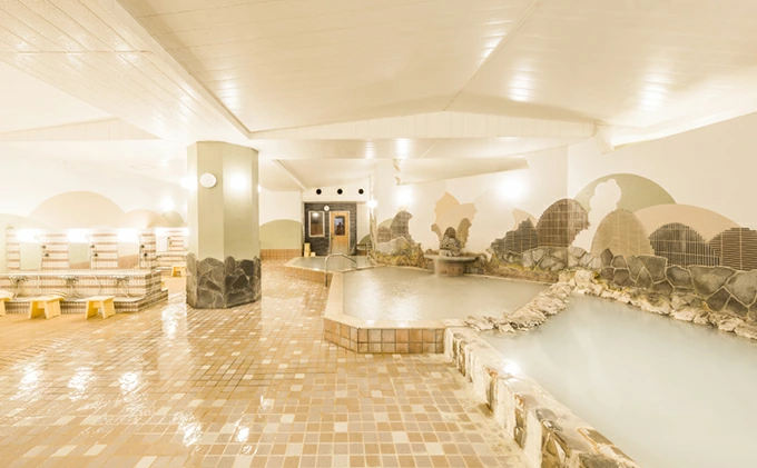 日帰り入浴券12枚つづりセット（夢元さぎり湯）　[no-0662]