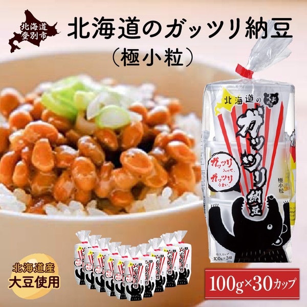 北海道のガッツリ納豆極小粒（100g×3入）10個　[dh-0051]