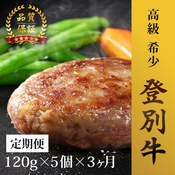 肉のあさひ 登別牛100％使用ハンバーグ 120g×5個[全3回お届け]　[na-0177]