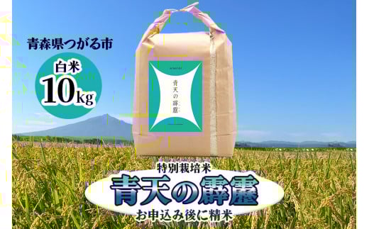 青天の霹靂 (特別栽培米) 白米10kg 令和7年産 青森県産米 [お申込み後に精米]｜2025年産 つがる市 お米 米 こめ コメ へきれき 白米 精米 特栽米 ブランド米 [0899]