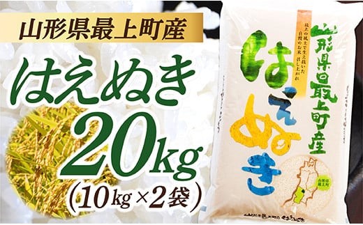 令和7年産 山形県産 はえぬき 20kg (10kg×2袋)