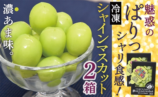 瞬間冷凍シャインマスカット2箱