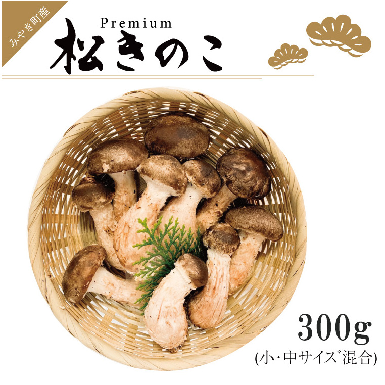 数量限定】 天然松茸 125g 松茸ご飯、焼き松茸、土瓶蒸しなど 訳あり（簡易包装） F4N-1491 | 岐阜県中津川市 | JRE  MALLふるさと納税