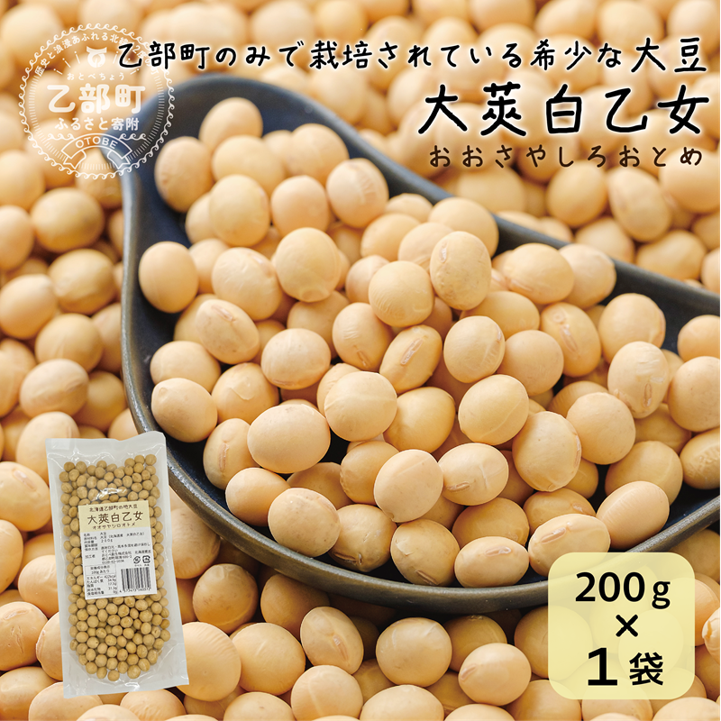 <大莢白乙女大豆 1袋>大粒で甘い乙部町地大豆 北海道 北海道産 道産 国産 国産大豆 乙部町 地大豆 特産品 大豆 甘い 大粒 コク