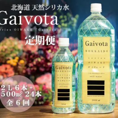 ＜定期便 Gaivota2箱(500ml×24本＋2L×6本)×6回分＞北のハイグレード食品 天然シリカ水 ミネラルウォーター 軟水 北海道産 北海道 乙部町 天然水 美容 ケイ素 無添加 シリカ ガイヴォータ 美肌 ミネラル 口当たり まろやか 備蓄 災害用 非常用 リピーター 6か月 備蓄 災害用 非常用
