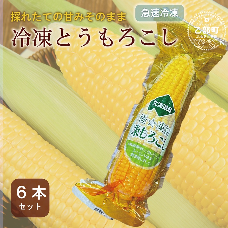 <ささや農園産 極★凍結とうもろこし 6本>北海道 道産 国産 乙部町 とうもろこし とうきび 冷凍 急速冷凍 鮮度そのまま 甘さ 糖度 個包装 ゴールドラッシュ 恵味ゴールド