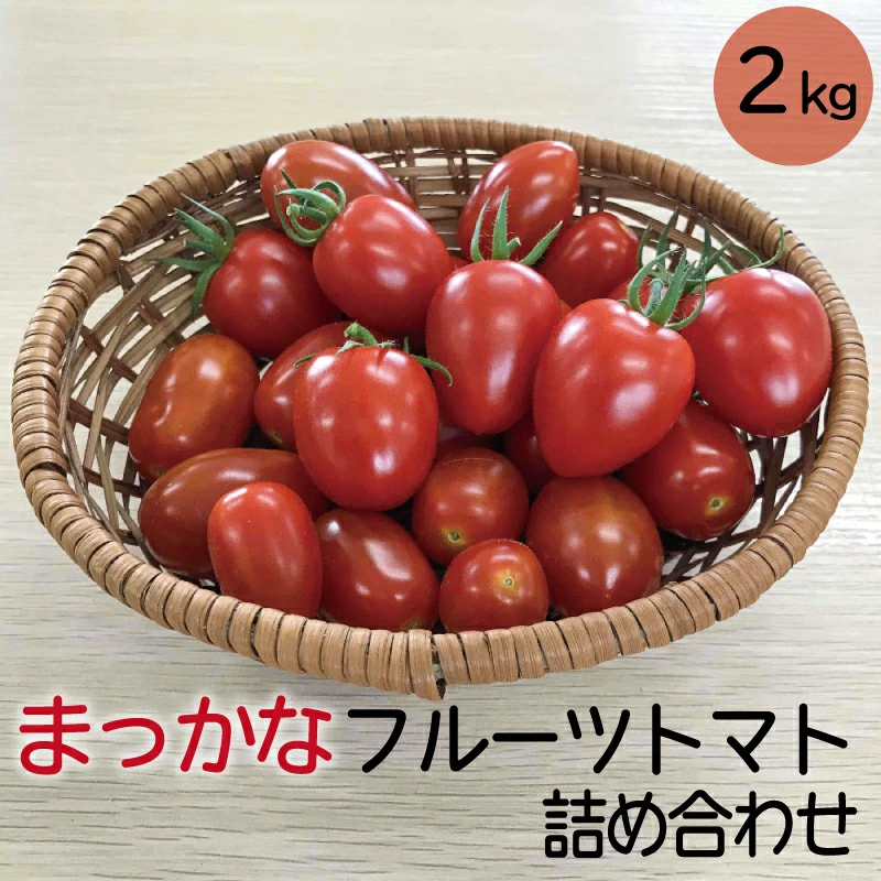 まっかなフルーツトマト詰め合わせ　2kg【完熟トマト 樹上完熟 野菜 ベジタブル 詰め合わせ 栄養 甘い こだわり サラダ 島根県 安来市】