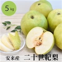 二十世紀梨 5kg【先行受付 2025年発送 梨 なし ナシ 20世紀 美味しい みずみずしい 期間限定 先行予約】