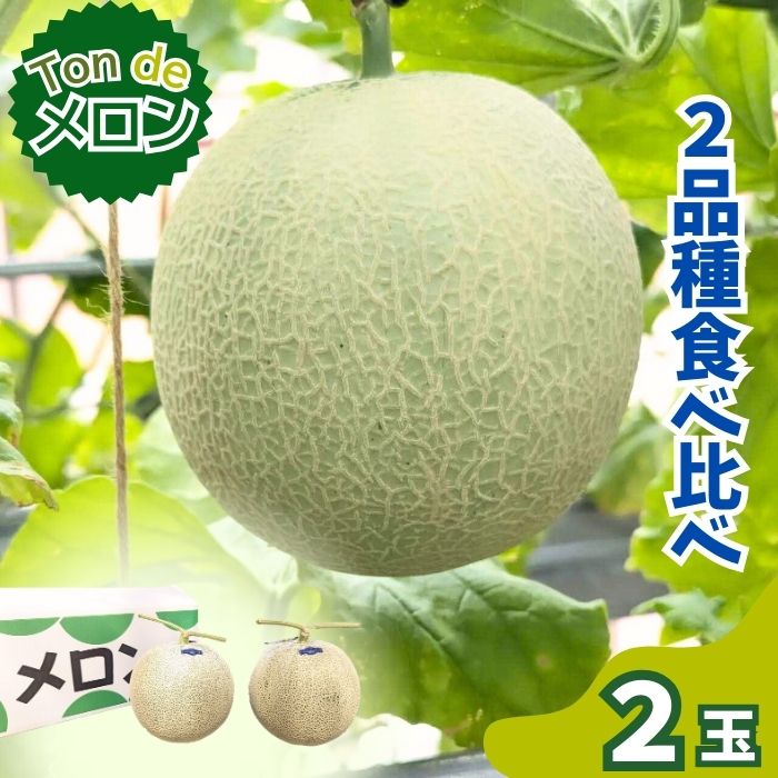 Ton de メロン 2品種食べ比べ♪【ペルルグリーンメロン アールスヴェルダメロン フルーツ 果物 食べ比べ 美味しい 甘い 芳醇 しっとり 上品 旬 ご褒美 ギフト 贈り物 ご自宅用 安来 島根県 安来市】