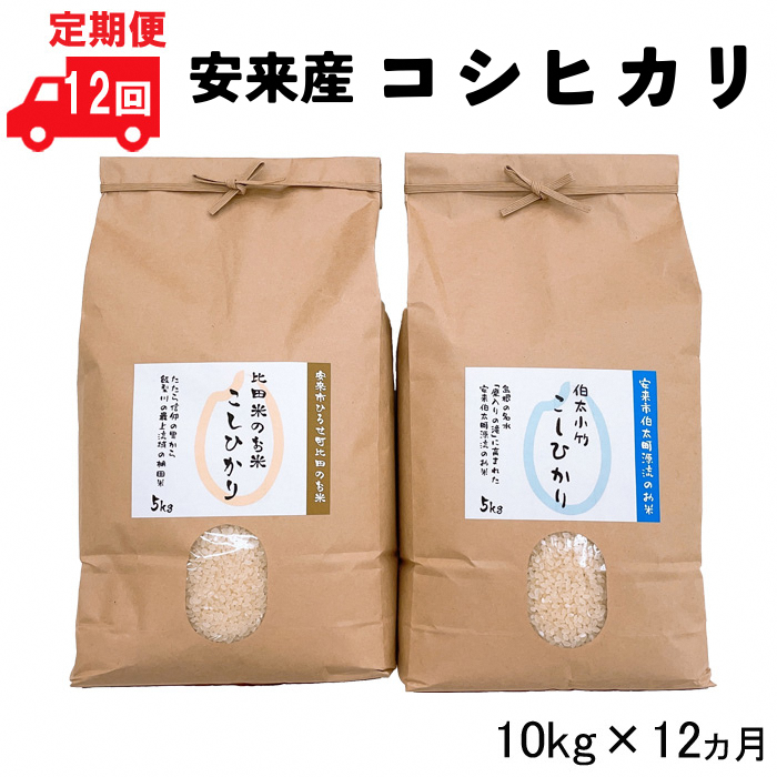 [定期便]安来市産コシヒカリ10kg×12ヵ月 令和6年産