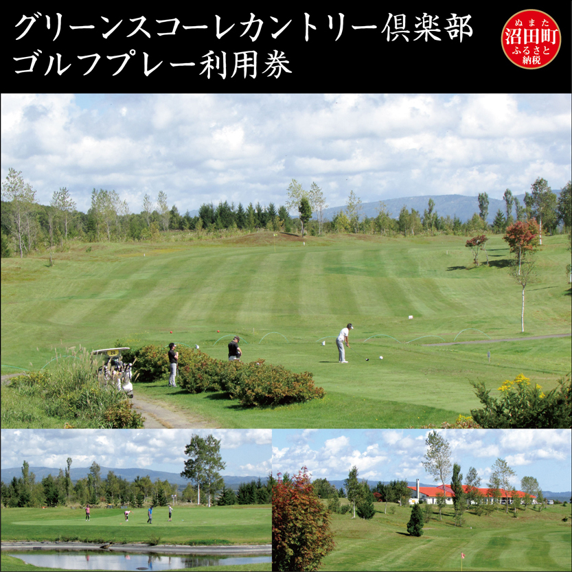 グリーンスコーレカントリー倶楽部ゴルフプレー利用券（3,000円分） n-0071