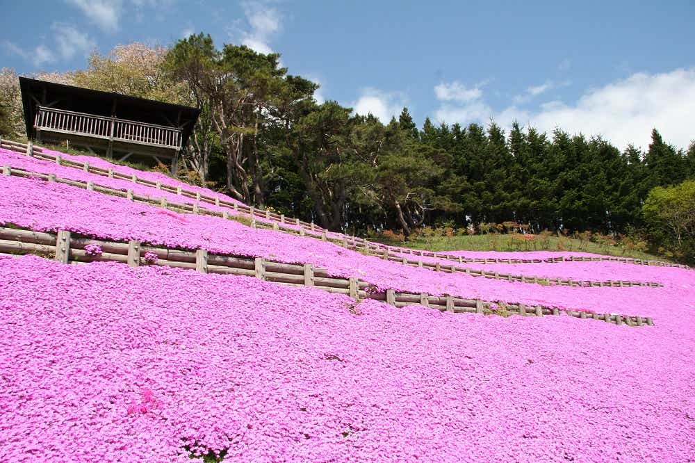 北海道木古内町