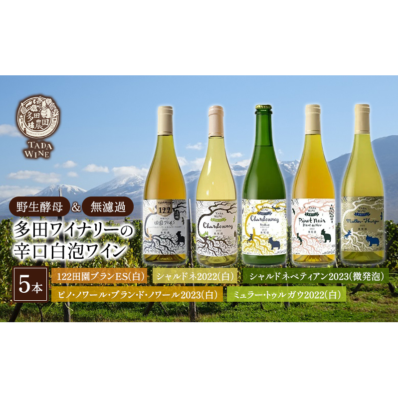 【野生酵母】辛口白泡ワイン5本●北海道上富良野町の多田ワイナリー