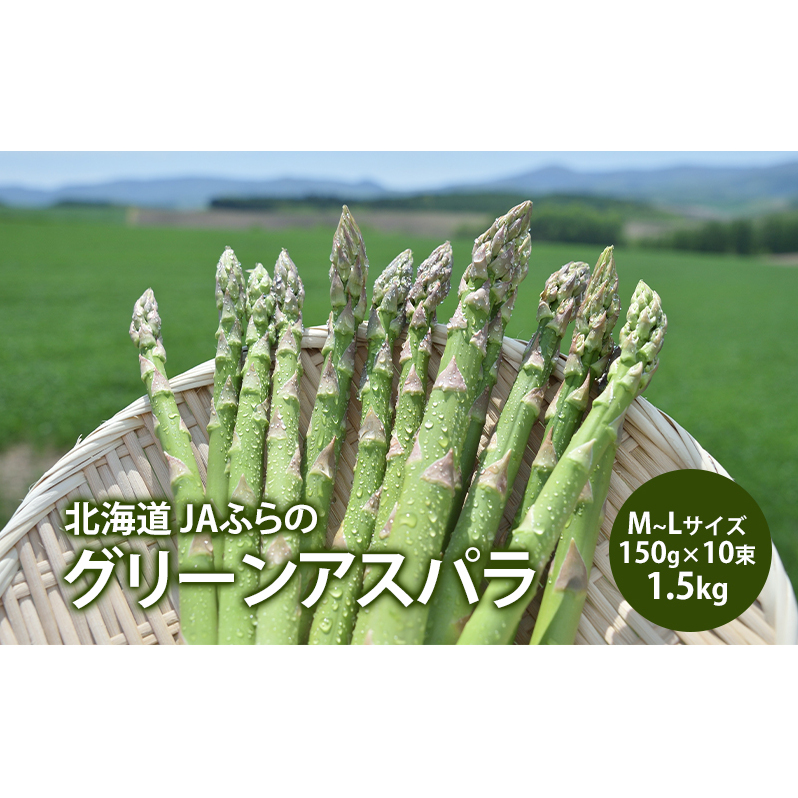アスパラガス グリーンアスパラ 1.5kg M～L アスパラ あすぱら 野菜 北海道 上富良野町 ふらの農業協同組合