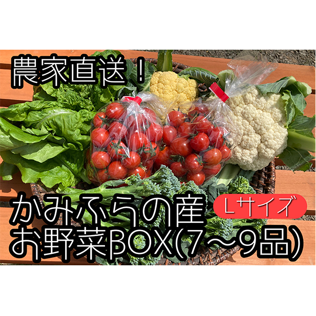 【2025年9月中旬頃から発送】農家直送！ミニトマト500g入り！かみふらの秋の味覚ボックスL（7～9品入り） 野菜 セット 詰合せ JGAP認証農場 