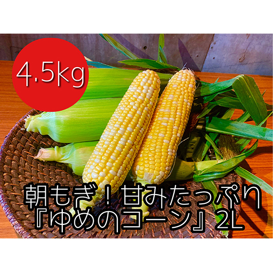 【2025年8月下旬から発送】農家直送！朝もぎスイートコーン『ゆめのコーン』2L 10～12本（4.5kg） 野菜 とうもろこし フルーツコーン 