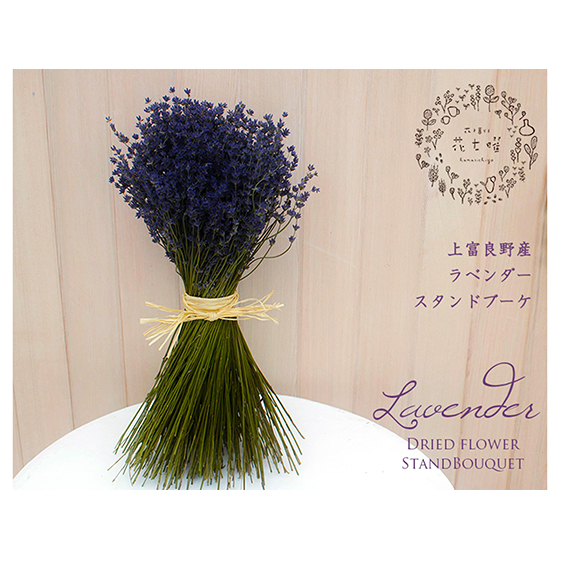 【2025年9月上旬から順次お届け】 富良野 花七曜 上富良野 ラベンダー【スタンドブーケ】ドライフラワー 花束 ブーケ 植物