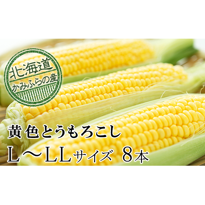 朝採り【黄いとうもろこし】L～LL 8本セット≪北海道上富良野町産≫ 野菜 トウモロコシ 