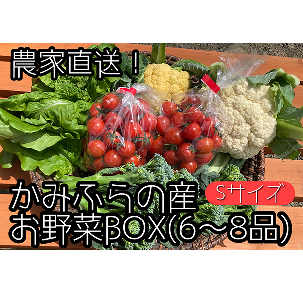【2025年9月中旬頃から発送】農家直送！ミニトマト500g入り！かみふらの秋の味覚ボックスS（6～8品入り） 野菜セット 旬の野菜 野菜ボックス 