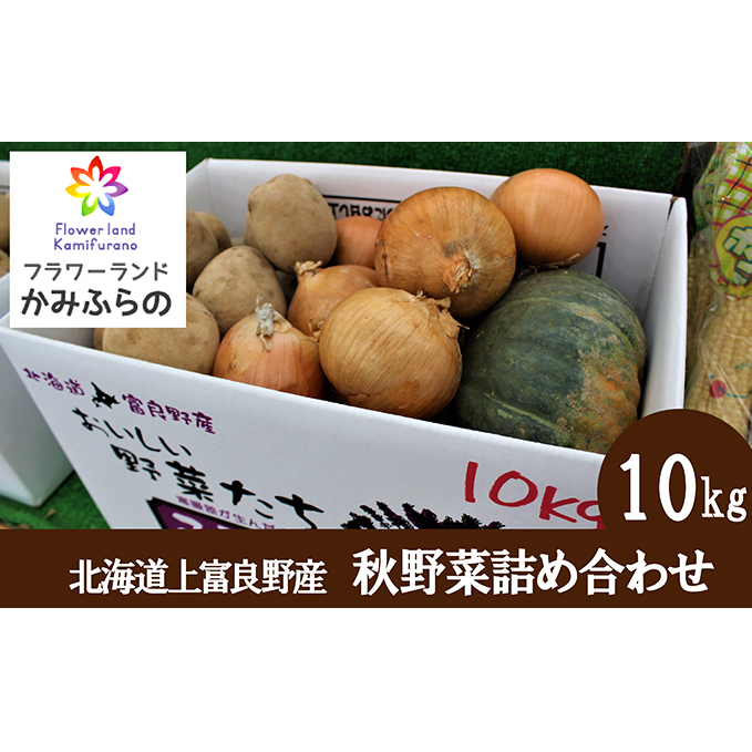 北海道 上富良野 町産 秋野菜 詰め合わせ セット 約 10kg じゃがいも 玉ねぎ かぼちゃ 産地直送 野菜 詰合せ
