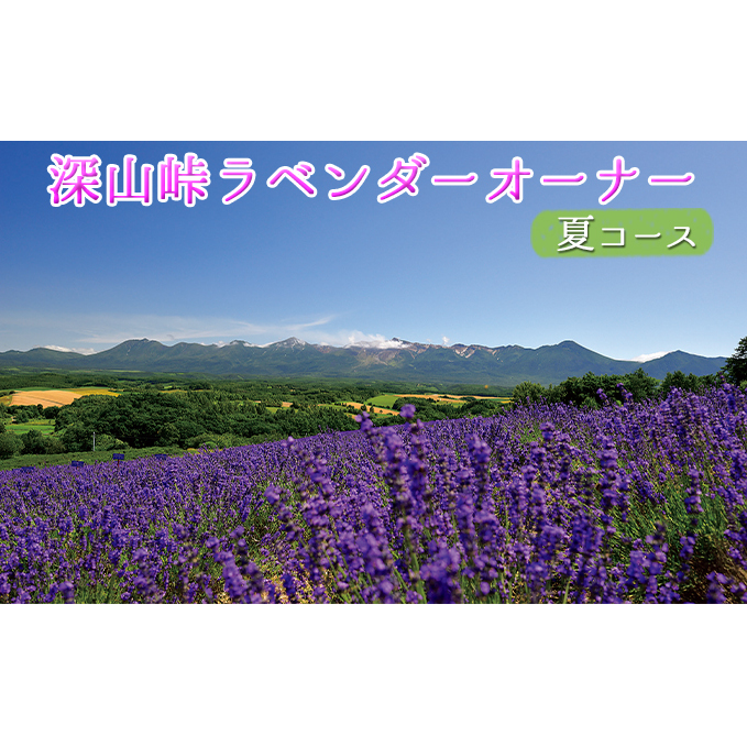 ラベンダーオーナー制度（夏コース） チケット 入場券 優待券 果物類 フルーツ アロマグッズ 