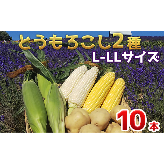 野菜・きのこ とうもろこし（10,001円～30,000円）の返礼品一覧 JR東日本が運営【JRE MALLふるさと納税】