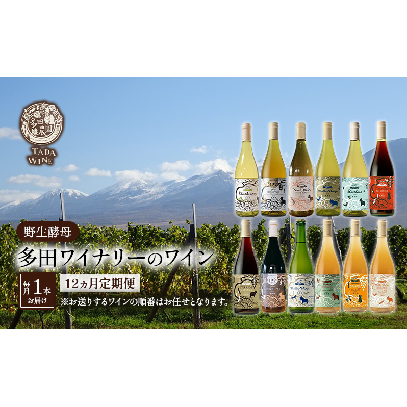 ワイン12ヵ月定期便◎月1本×12回◎多田ワイナリー◎野生酵母ワイン 北海道 上富良野町 ワイン 赤ワイン 白ワイン 微発泡ワイン オレンジワイン
