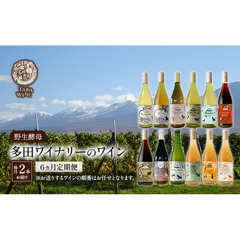ワイン6ヵ月定期便◎月2本×6回◎多田ワイナリー◎野生酵母ワイン 北海道 上富良野町 ワイン 赤ワイン 白ワイン 微発泡ワイン オレンジワイン