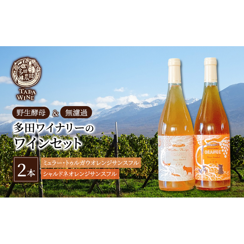 【酸化防止剤無添加】オレンジワイン2種類 野生酵母&無濾過 多田ワイナリー 北海道 上富良野町 ワイン セット お酒 アルコール
