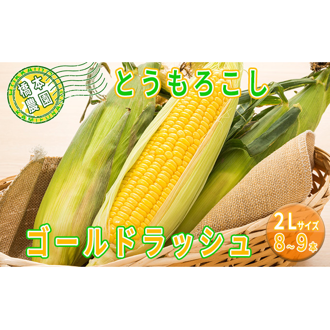 橋本農園のとうもろこし（ゴールドラッシュ）8～9本 ※2Lサイズ 野菜 コーン 夏野菜 産地直送 北海道産 北の大地 焼きもろこし コーンバター バーベキュー キャンプ 料理 