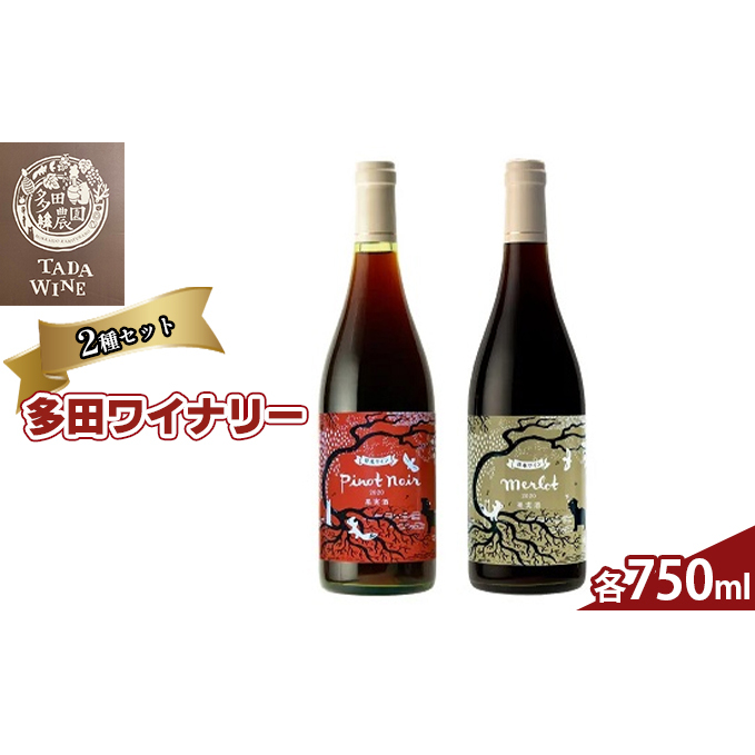 野生酵母 赤ワイン 2本セット お酒 ピノノワール メルロ 飲み比べ 果実酒 無濾過 