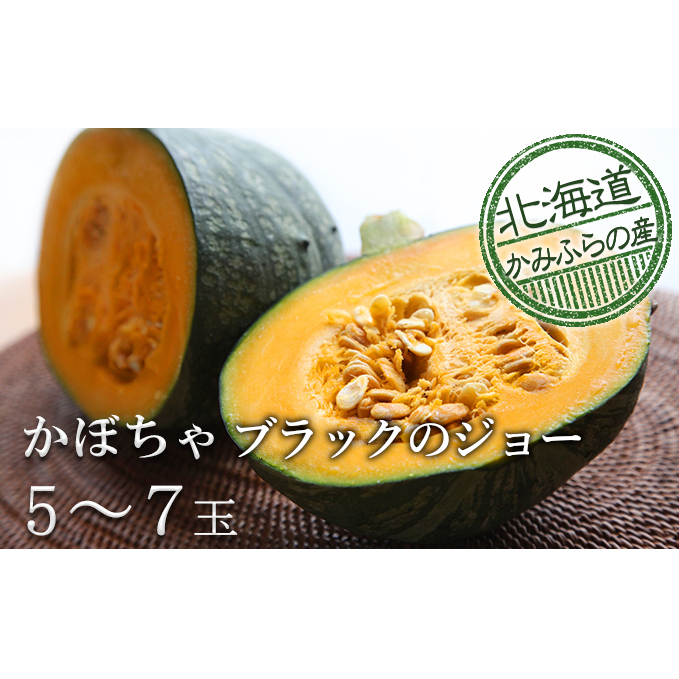 採れたて完熟栗かぼちゃ【ブラックのジョー】5～7玉≪北海道上富良野町産≫ 野菜 秋の味覚 北海道野菜 パンプキン 北海道産かぼちゃ 料理 調理 食材 旬の野菜 