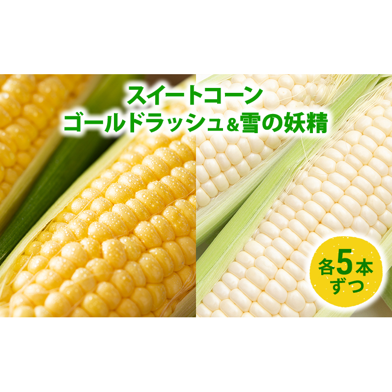 スイートコーン「ゴールドラッシュ5本 & 雪の妖精5本」 野菜 旬の野菜 北海道産 北海道野菜 国産 国産野菜 グルメ 食材 とうもろこし 
