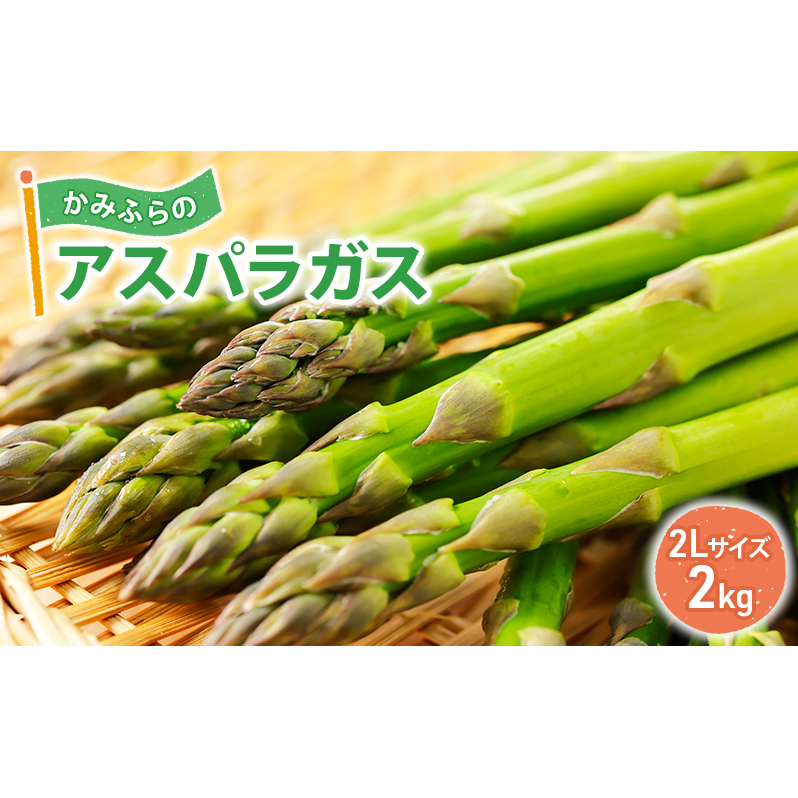 【令和8年産】かみふらのアスパラガス 2Lサイズ 1kg 野菜 旬の野菜 北海道産 北海道野菜 国産 国産野菜 グルメ 食材 グリーンアスパラガス 