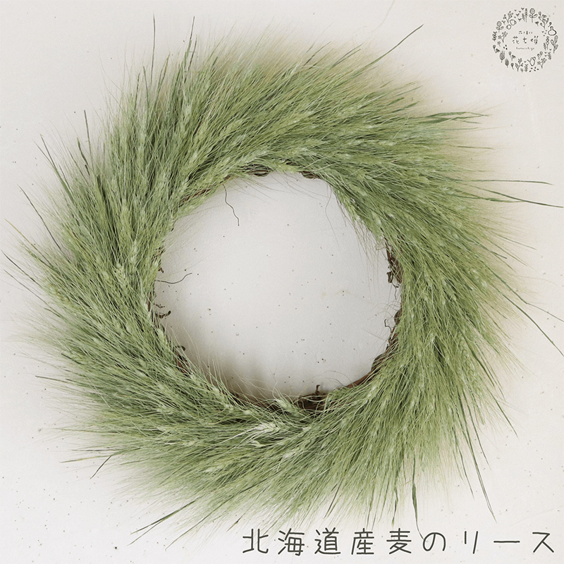 富良野 花七曜 北海道産麦のリース◆ ドライフラワーリース