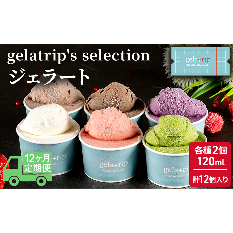 ≪12ヵ月定期便≫gelatrip's selection ジェラート12個BOX 