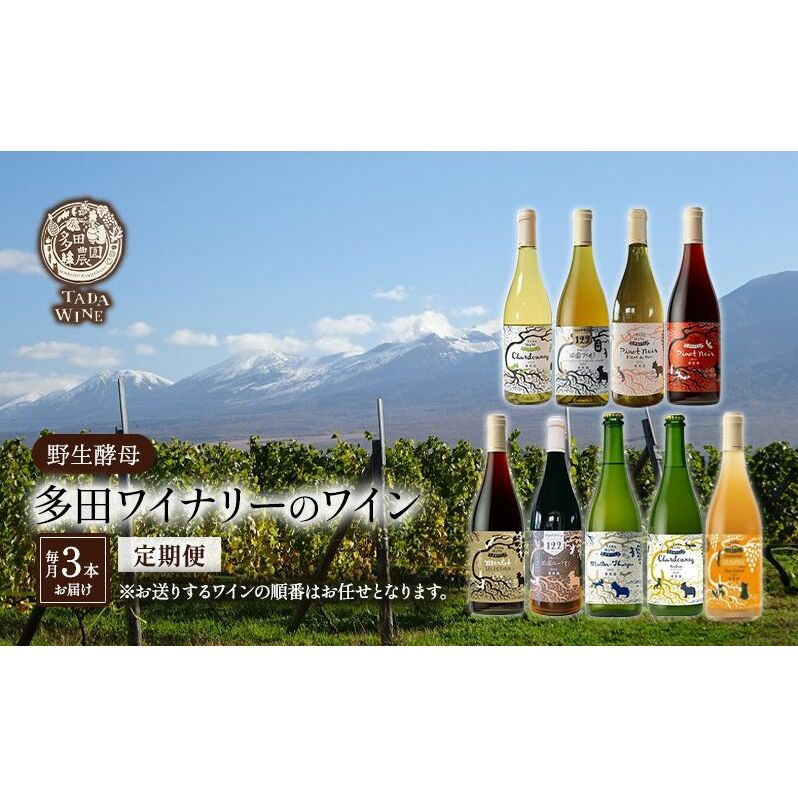 【3ヵ月定期便】野生酵母で醸したワイン 毎月3本お届け (3ヵ月間) 多田ワイナリー 北海道 上富良野町 ワイン 赤ワイン 白ワイン 微発泡ワイン オレンジワイン