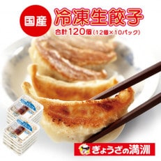 冷凍生餃子10パック(120個) ぎょうざの満洲【配送不可地域:離島】【1541647】
