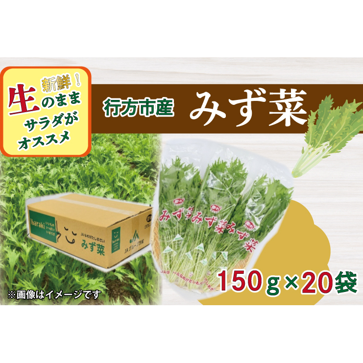 AE-53 JAなめがたしおさい直送「みず菜」150g×20袋