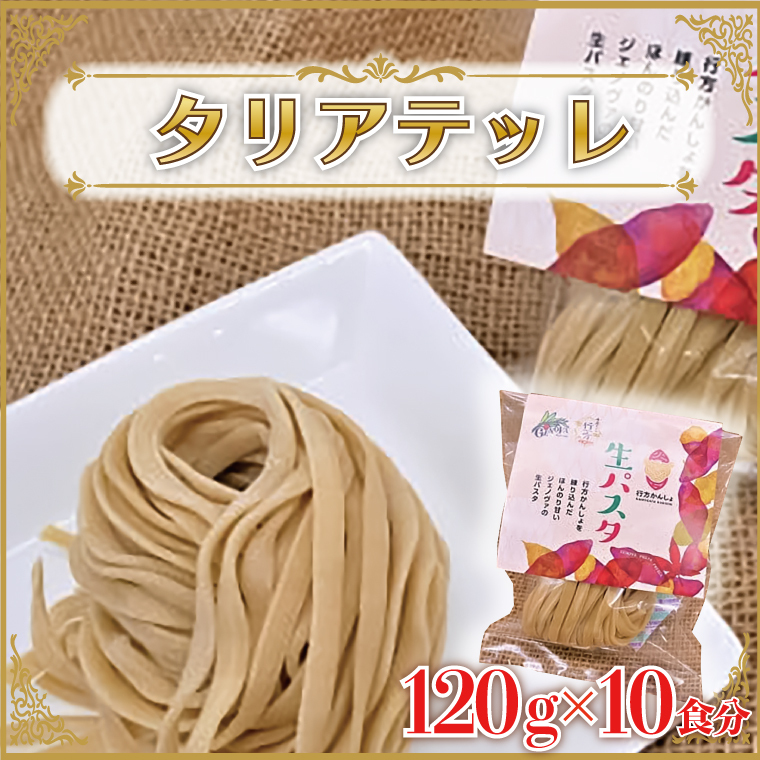CJ-16 生パスタ (タリアテッレ10食分)