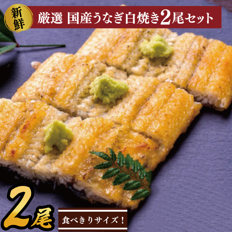 食べ切りサイズ!国内産うなぎの白焼(酒蒸し)100~120g 2尾 計200g以上|うなぎ 鰻 白焼 酒蒸し 食べ切り 茨城県 行方市(AD-130-3)