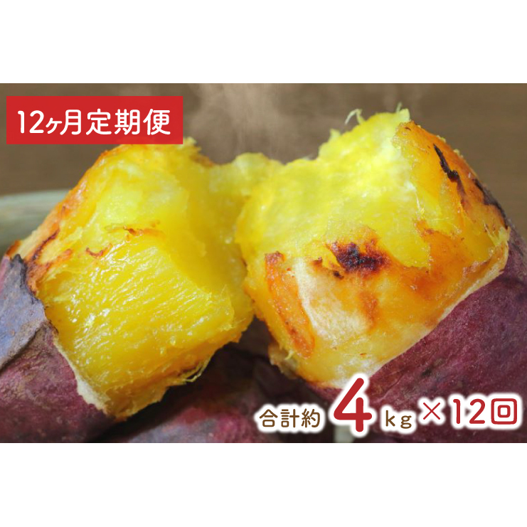 【12ヶ月定期便】★訳あり★紅はるか冷凍焼き芋約3.7kg＋おまかせ品種さつまいも　合計約4kg（EY-31）