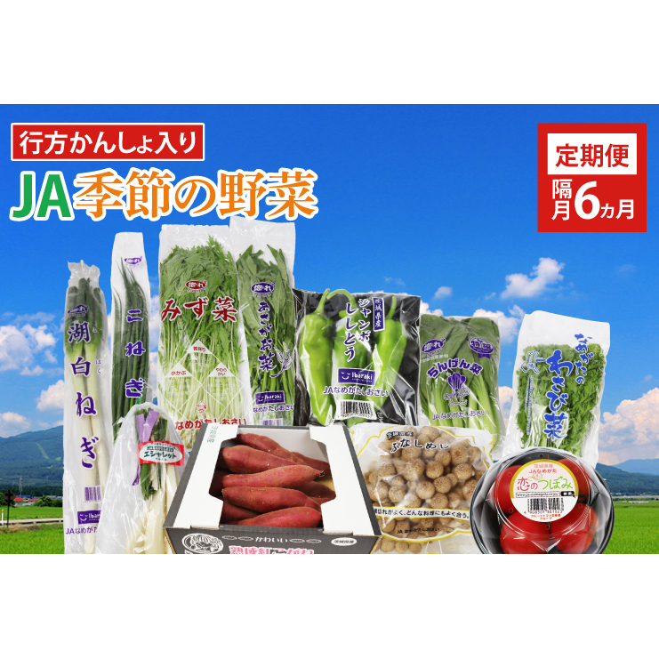 AE-41 【隔月6回定期便】【行方かんしょ入り】JAなめがたしおさい 季節の野菜 8~10種類