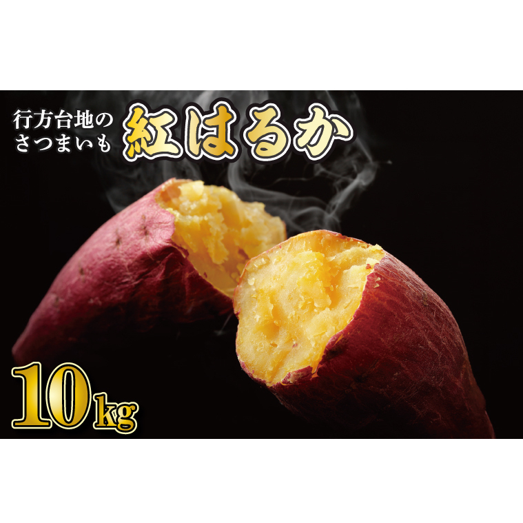 【2026年1月より順次発送】★訳あり★ 無選別 行方台地のさつまいも 紅はるか 約10kg|さつまいも 芋 サツマイモ 紅はるか 訳あり わけあり 無選別 先行予約 茨城県 行方市(CU-55-5)