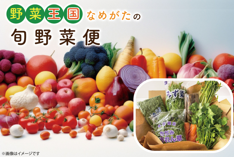 CU-127 野菜王国なめがたの旬野菜便
