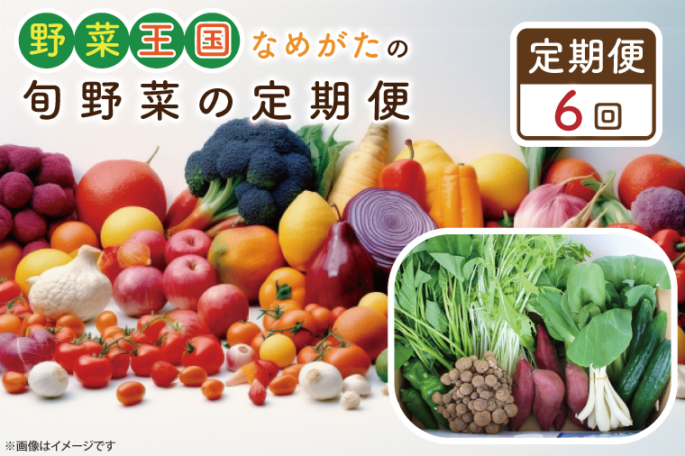 CU-133 【6ヶ月定期便】野菜王国なめがたの旬野菜の定期便(さつまいも入り)